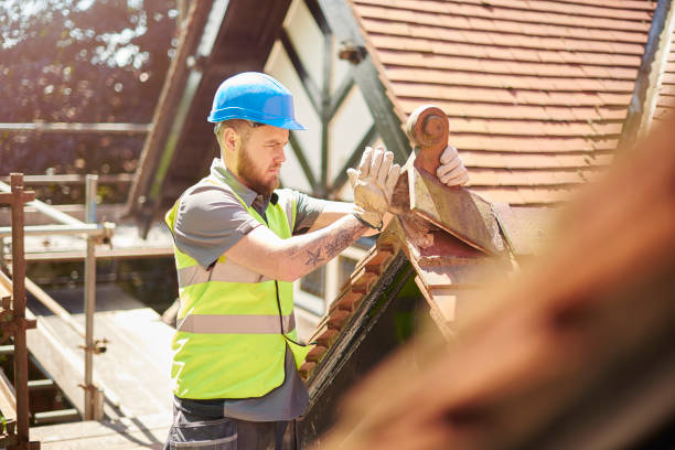Best Metal Roofing Contractor  in Union Springs, AL